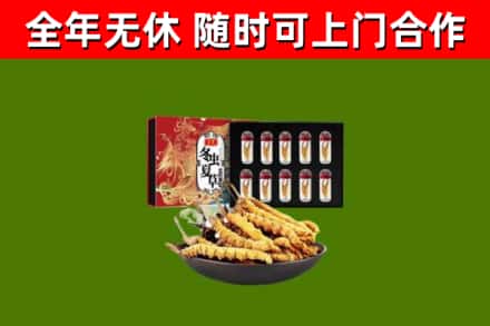 白银市回收冬虫夏草价格